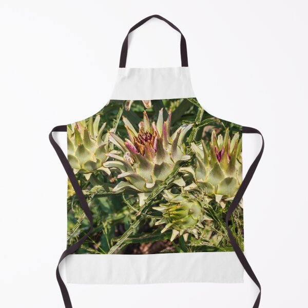 Item preview, Close-Up of Spiky Globe Artichoke Buds and Thistle-Like Plants in a Sunlit Garden designed and sold by Nmallia.