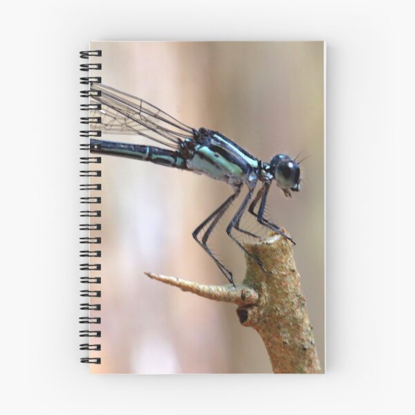 Item preview, Dragonfly  designed and sold by Parks and X.