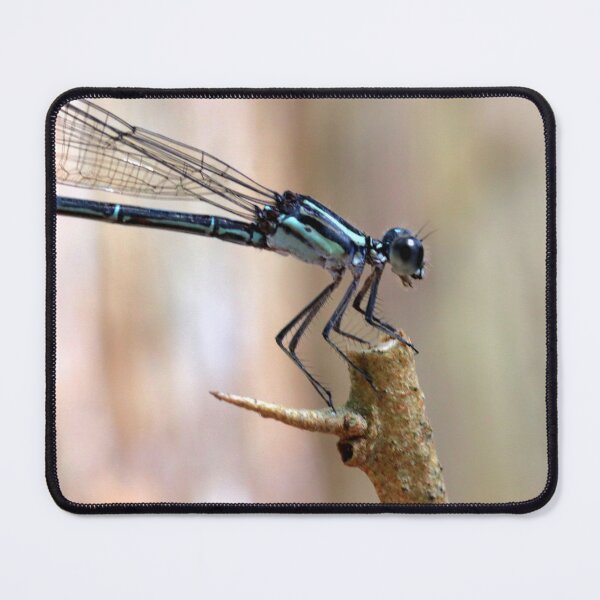 Item preview, Dragonfly  designed and sold by Parks and X.