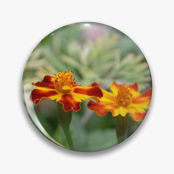 Item preview, Red and Yellow French Marigolds Blooming designed and sold by MiraNadaPrints.