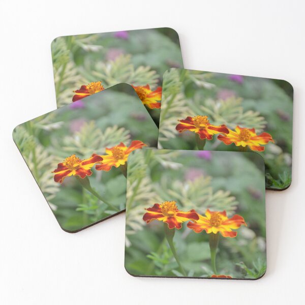 Item preview, Red and Yellow French Marigolds Blooming designed and sold by MiraNadaPrints.