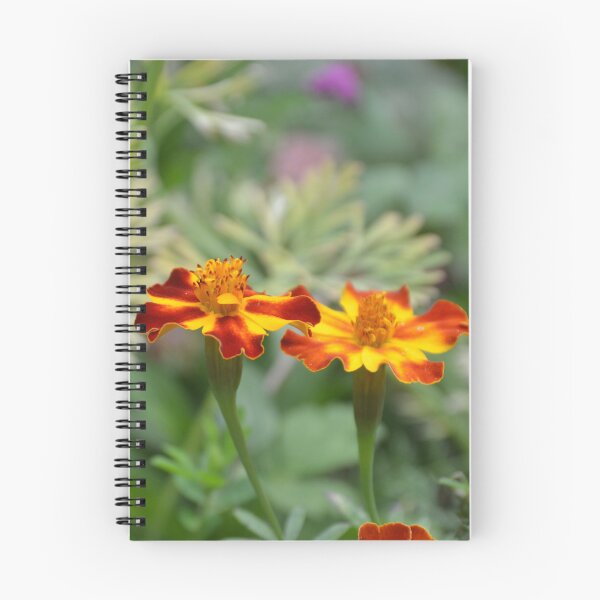 Item preview, Red and Yellow French Marigolds Blooming designed and sold by MiraNadaPrints.