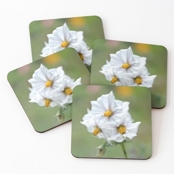 Item preview, White Potato Blossoms with Bright Yellow Anthers designed and sold by MiraNadaPrints.