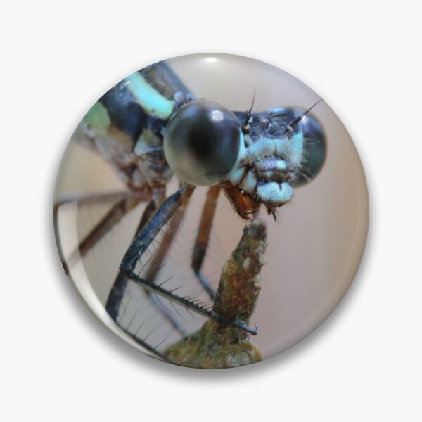 Item preview, Insects  designed and sold by Parks and X.