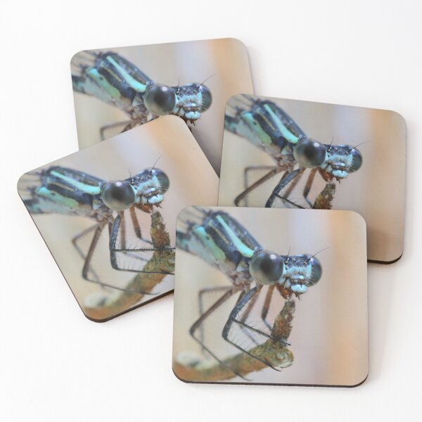 Item preview, Insects  designed and sold by Parks and X.