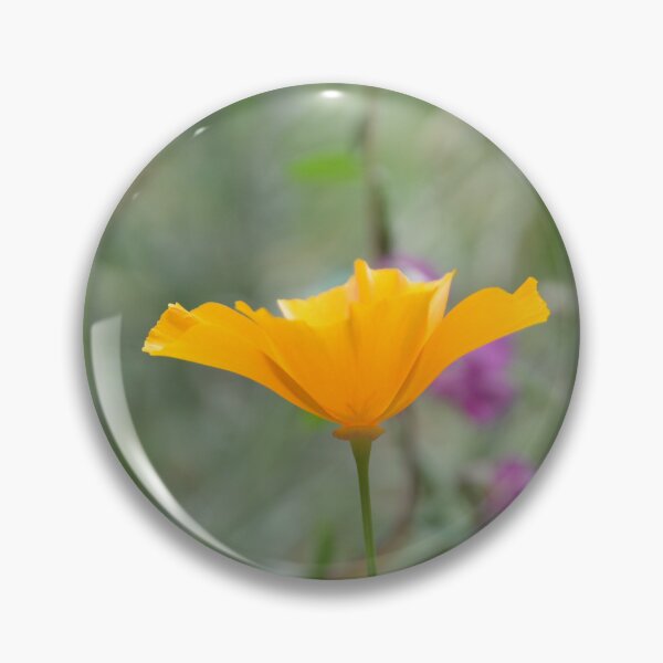 Item preview, Golden California Poppy Side Profile in Garden designed and sold by MiraNadaPrints.