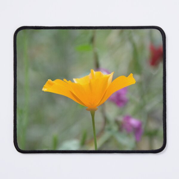 Item preview, Golden California Poppy Side Profile in Garden designed and sold by MiraNadaPrints.