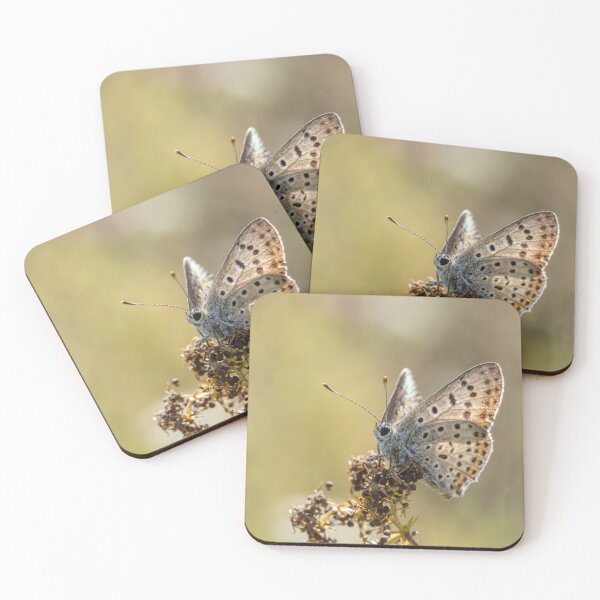 Item preview, A spotted butterfly sits on a dried plant stalk against a blurred green meadow background. designed and sold by 3 Hours of Silence.