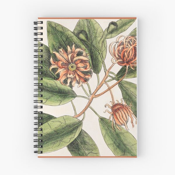 Item preview, Upright honey-fuckle 18th Century Botanical Illustration by Mark Catesby designed and sold by mockingbirdmuse.