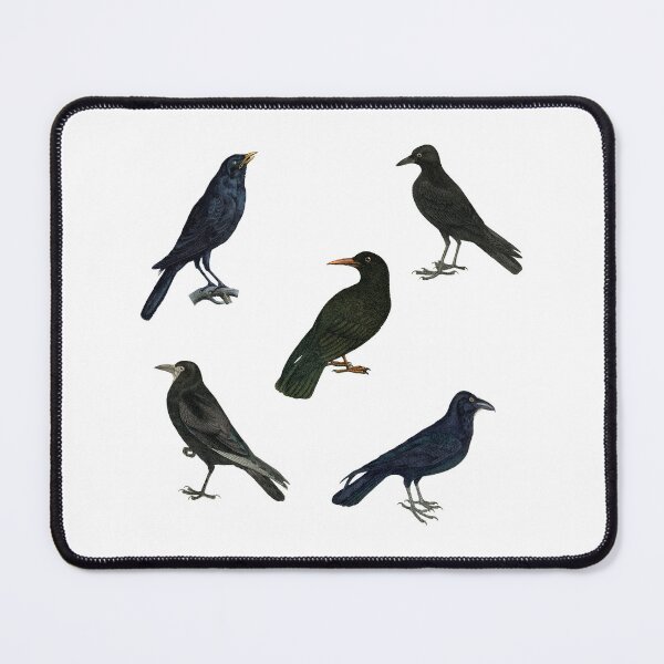 Item preview, Murder of Crows designed and sold by Angry Critters.