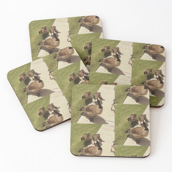 Item preview, Vintage Style Canada Geese Gathering Photography designed and sold by KaleChub.