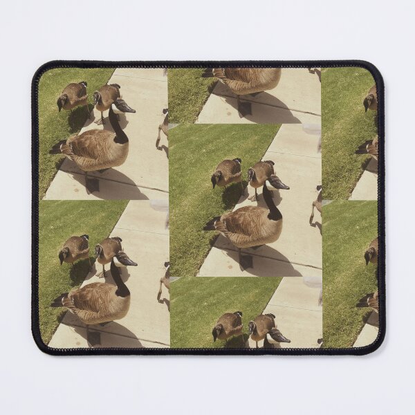 Item preview, Vintage Style Canada Geese Gathering Photography designed and sold by KaleChub.