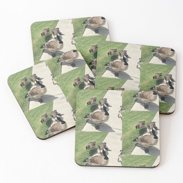 Item preview, Vibrant Canada Geese Gathering on Sidewalk designed and sold by KaleChub.