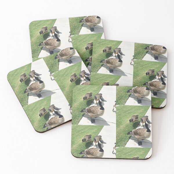 Item preview, Cool Toned Canada Geese Sidewalk Photography designed and sold by KaleChub.