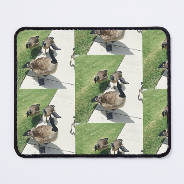 Item preview, Cool Toned Canada Geese Sidewalk Photography designed and sold by KaleChub.