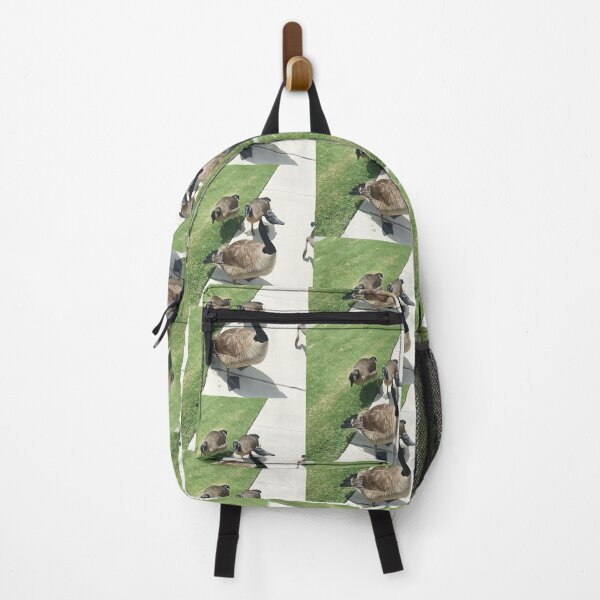 Item preview, Cool Toned Canada Geese Sidewalk Photography designed and sold by KaleChub.