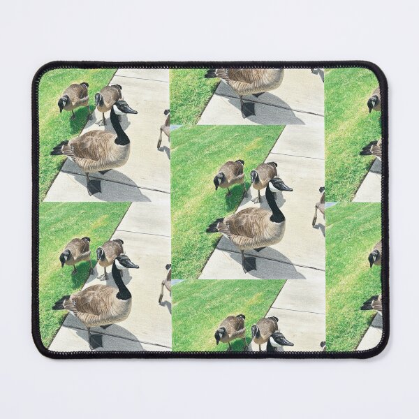 Item preview, Canada Geese Surprised by Ninja Shuriken designed and sold by KaleChub.
