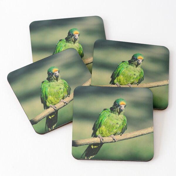 Item preview, Vibrant Tropical Green Parrot Perched on a Branch designed and sold by ThaCriações.