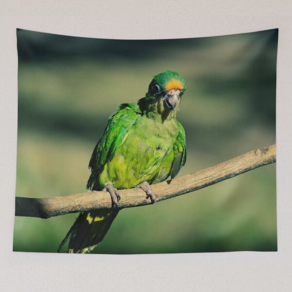 Item preview, Vibrant Tropical Green Parrot Perched on a Branch designed and sold by ThaCriações.