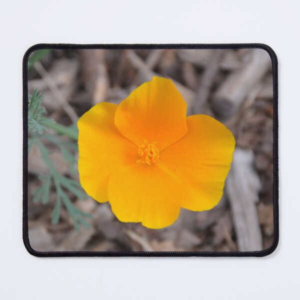 Item preview, Golden California Poppy Over Wood Mulch designed and sold by MiraNadaPrints.