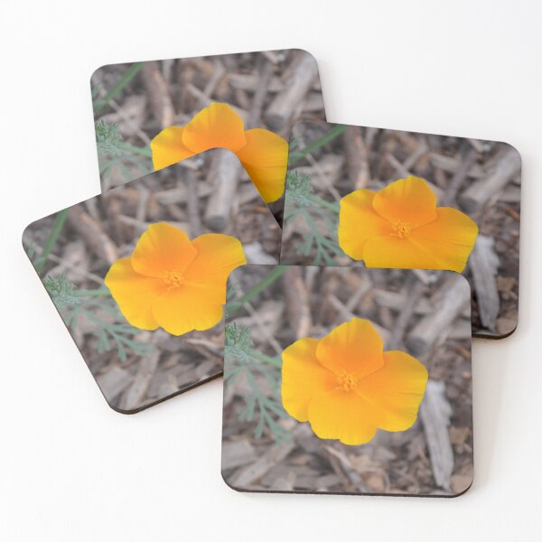 Item preview, Golden California Poppy Over Wood Mulch designed and sold by MiraNadaPrints.
