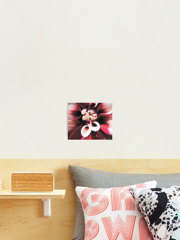 Thumbnail 2 of 3, Photographic Print, Raspberry Ripple designed and sold by Rachem.