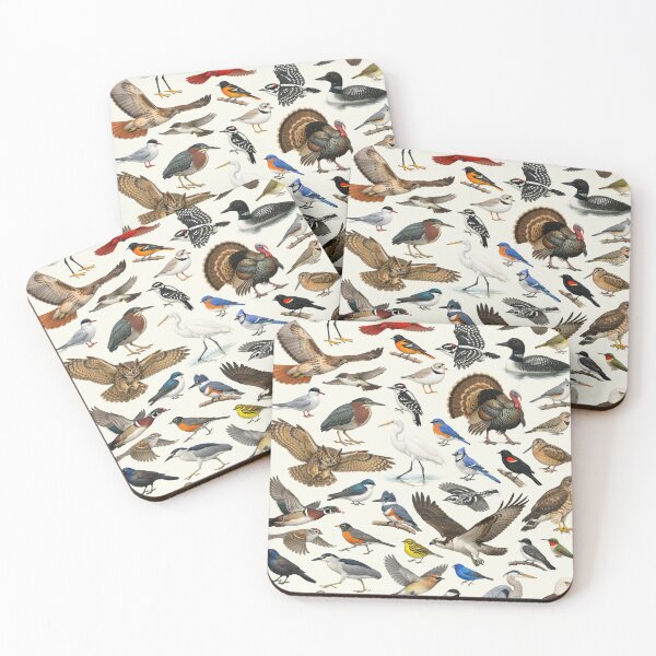 Item preview, Native Birds of Rhode Island Retro Identification Chart designed and sold by kakarikihill.