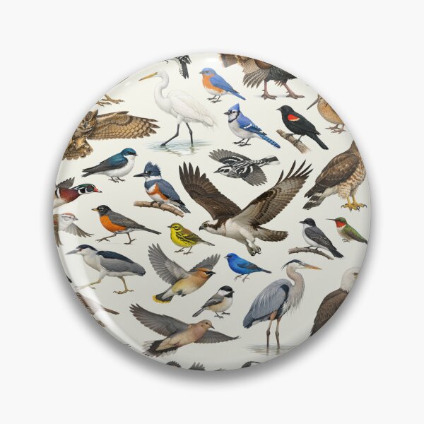 Item preview, Native Birds of Rhode Island Retro Identification Chart designed and sold by kakarikihill.