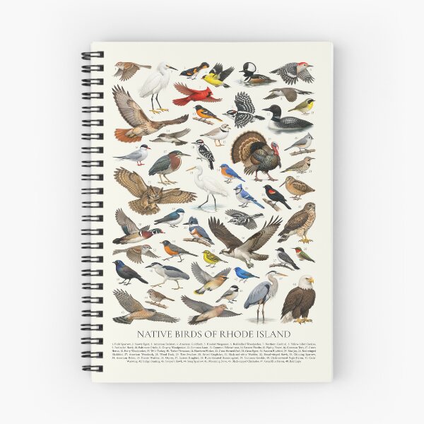 Item preview, Native Birds of Rhode Island Retro Identification Chart designed and sold by kakarikihill.