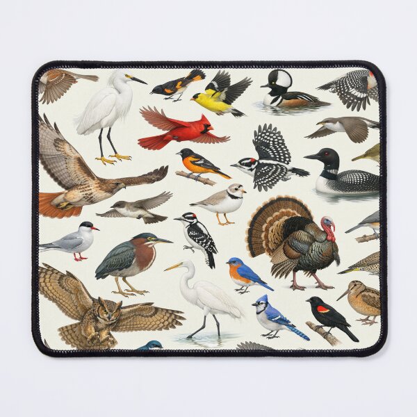 Item preview, Native Birds of Rhode Island Retro Identification Chart designed and sold by kakarikihill.