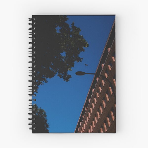 Item preview, bird soaring in the skies of london (england) (july 2026) designed and sold by photosbykel.