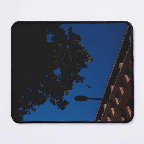 Item preview, bird soaring in the skies of london (england) (july 2026) designed and sold by photosbykel.