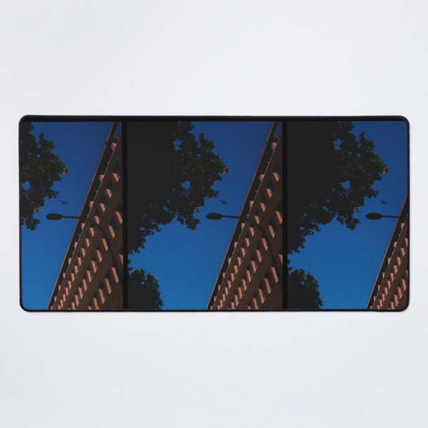Item preview, bird soaring in the skies of london (england) (july 2026) designed and sold by photosbykel.