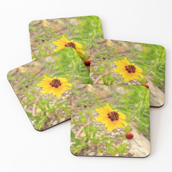 Item preview, Runner Up designed and sold by Vince Scaglione.