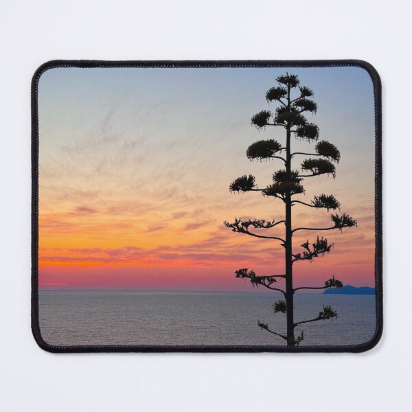 Item preview, Lone Tree Silhouette Sunset Photography designed and sold by GoldenWavesAndWilds.
