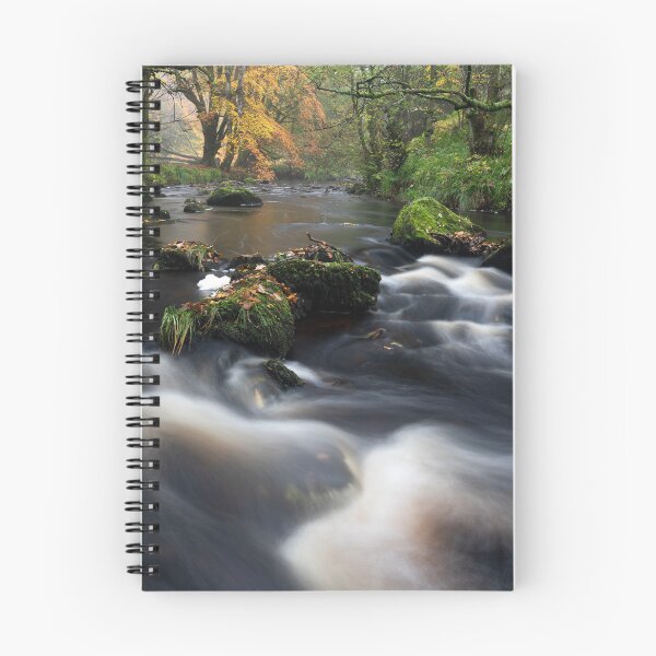 Item preview, hint of autumn designed and sold by codaimages.
