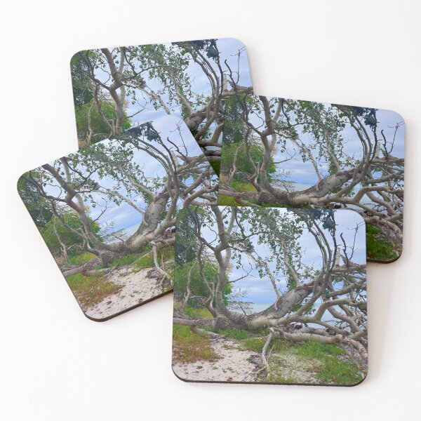 Item preview, Fallen Tree Wild Baltic Sea Beach designed and sold by GoldenWavesAndWilds.