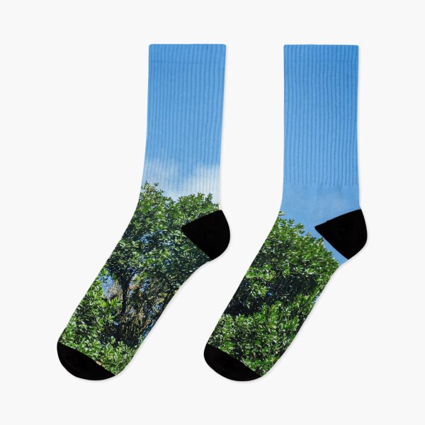 Item preview, Vibrant Green Tree Canopy Against a Clear Blue Summer Sky designed and sold by ThaCriações.