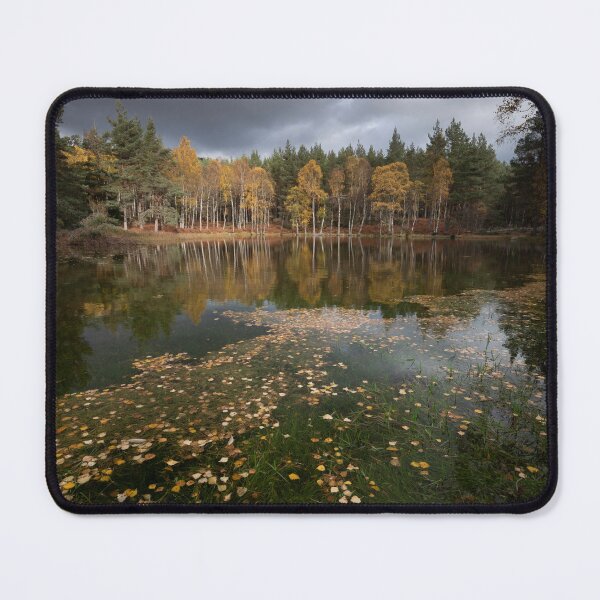 Item preview, fall, cambus o' may designed and sold by codaimages.