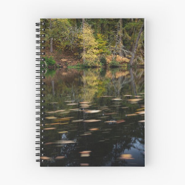 Item preview, autumn at mill pond designed and sold by codaimages.