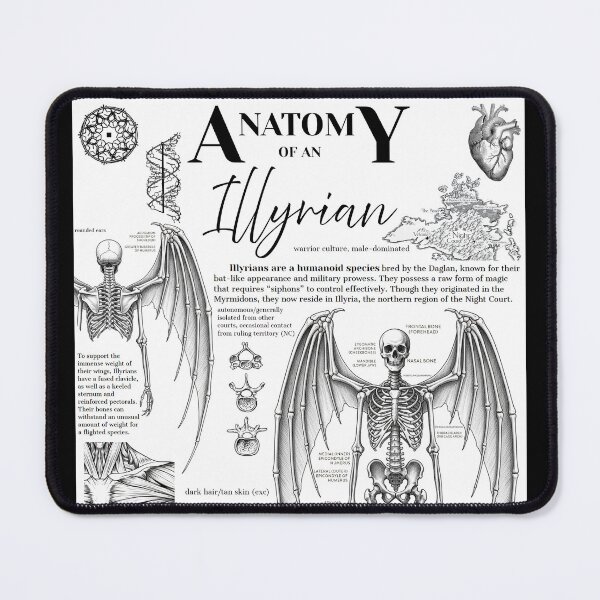 Item preview, Illyrian Anatomy Art designed and sold by Library-Of-Em.