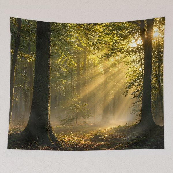 Item preview, Sunlit Forest Rays Fine Art Nature Photography Wall Art Gift for Nature Lovers designed and sold by Nightarel.