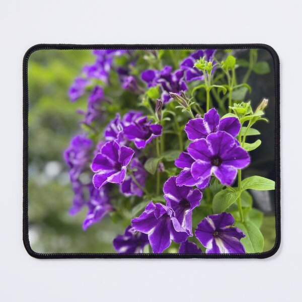 Item preview, Vibrant Purple Petunias Hanging Floral Garden designed and sold by BetweenForms.