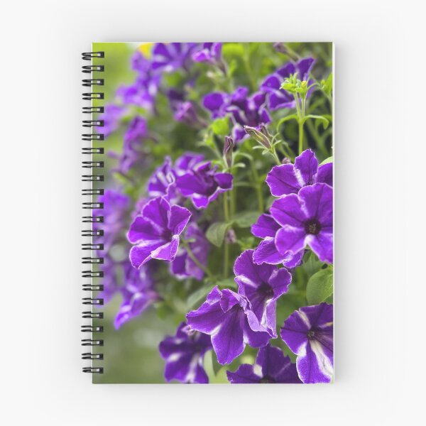 Item preview, Vibrant Purple Petunias Hanging Floral Garden designed and sold by BetweenForms.