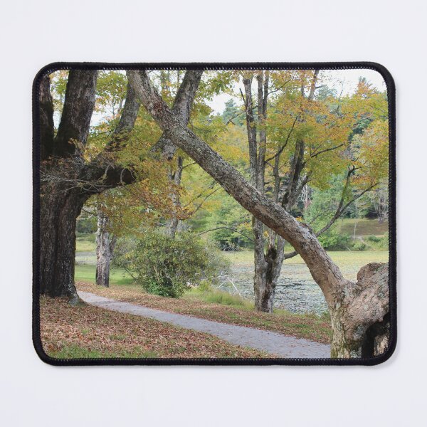 Item preview, Peaceful Path by Autumn Trees designed and sold by amusefullife.
