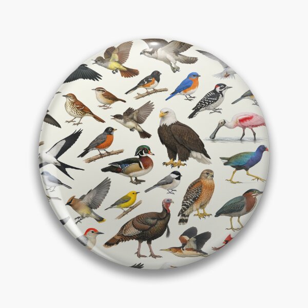 Item preview, Native Birds of South Carolina Retro Identification Chart designed and sold by kakarikihill.