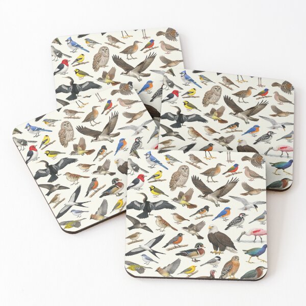Item preview, Native Birds of South Carolina Retro Identification Chart designed and sold by kakarikihill.