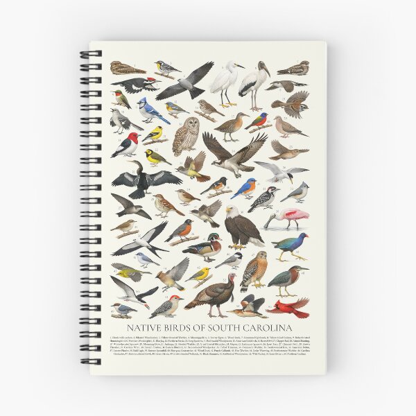 Item preview, Native Birds of South Carolina Retro Identification Chart designed and sold by kakarikihill.