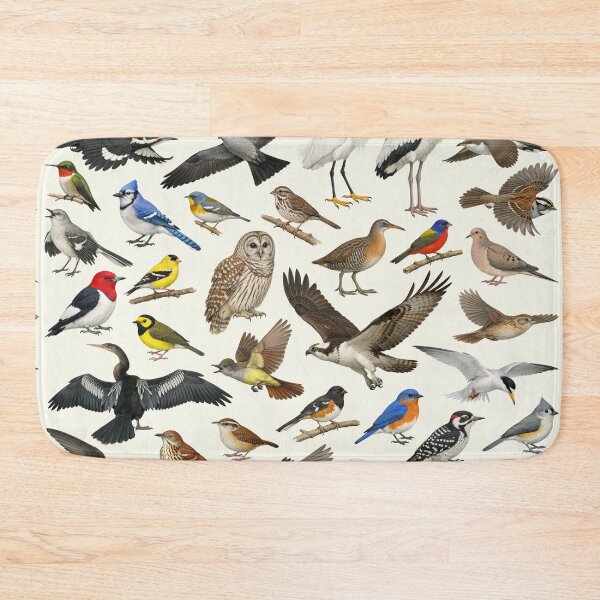 Item preview, Native Birds of South Carolina Retro Identification Chart designed and sold by kakarikihill.