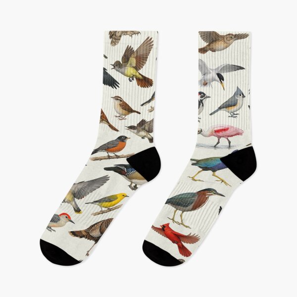 Item preview, Native Birds of South Carolina Retro Identification Chart designed and sold by kakarikihill.